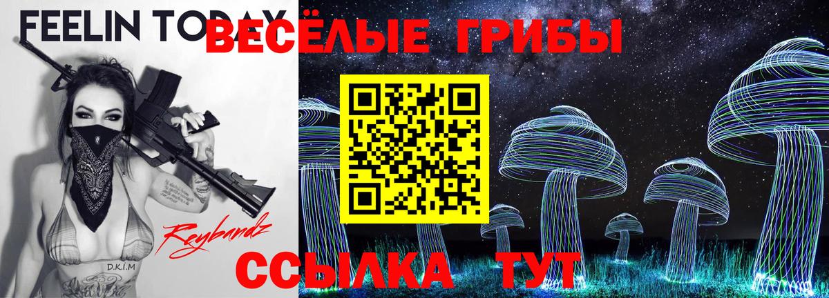 Галлюциногенные грибы Psilocybe  Вход с VPN  Псилоцибиновые грибы MAGIC MUSHROOMS  Сосновый Бор 